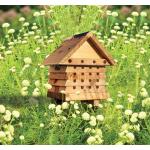 Solitaire bijenkast in hout - educatief