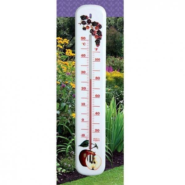  - Thermometer fruit