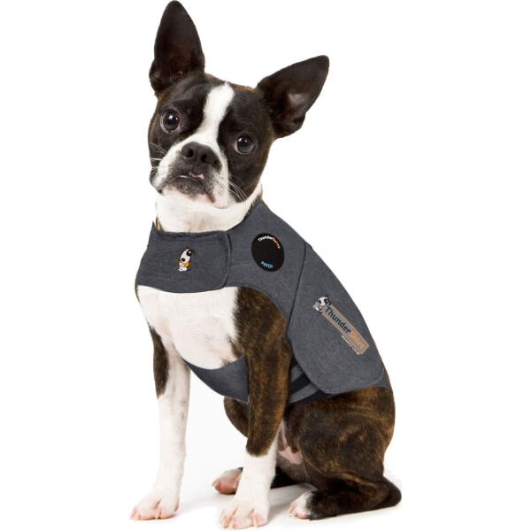gehandicapt Behoren Raar Thundershirt antistress voor honden Grijs - XS - Webshop - Tuinadvies