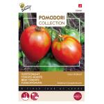 Tomaten Pomodori Cuor di Bue - Lycopersicon esculentum