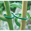 Tomatenclips groen - groeihulp