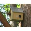 Nestkast voor eekhoorns - naturel hout