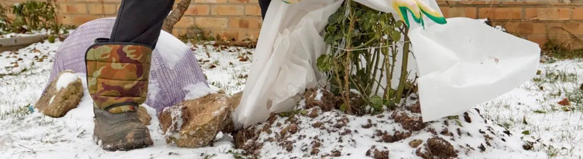 Bescherming tegen vrieskou!