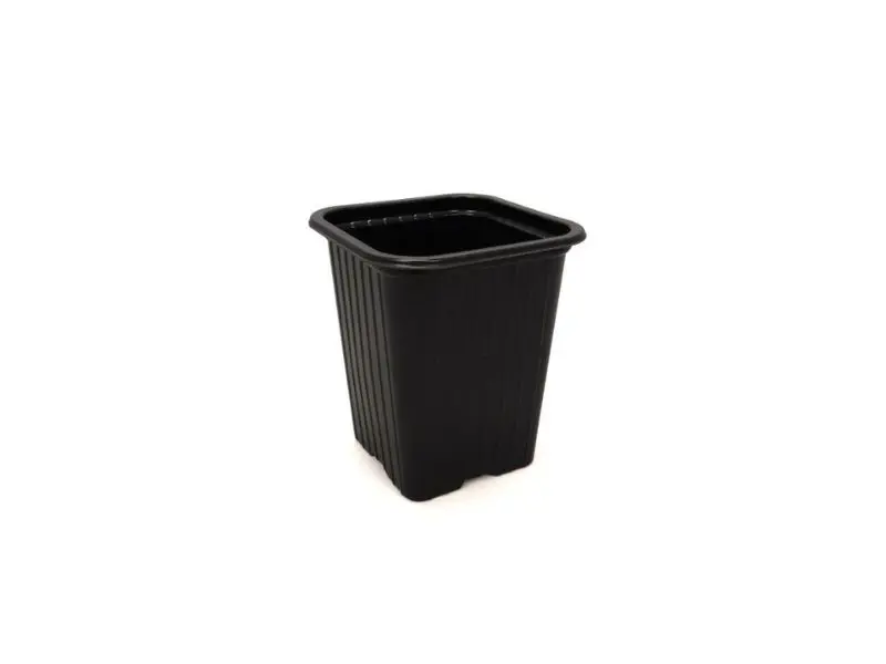 Plastic potten voor zaailingen - 9 x 9 x 9,5 cm (7 stuks)- Nederland Plastic potten voor zaailingen - 9 x 9 x 9,5 cm (7 stuks)- Nederland