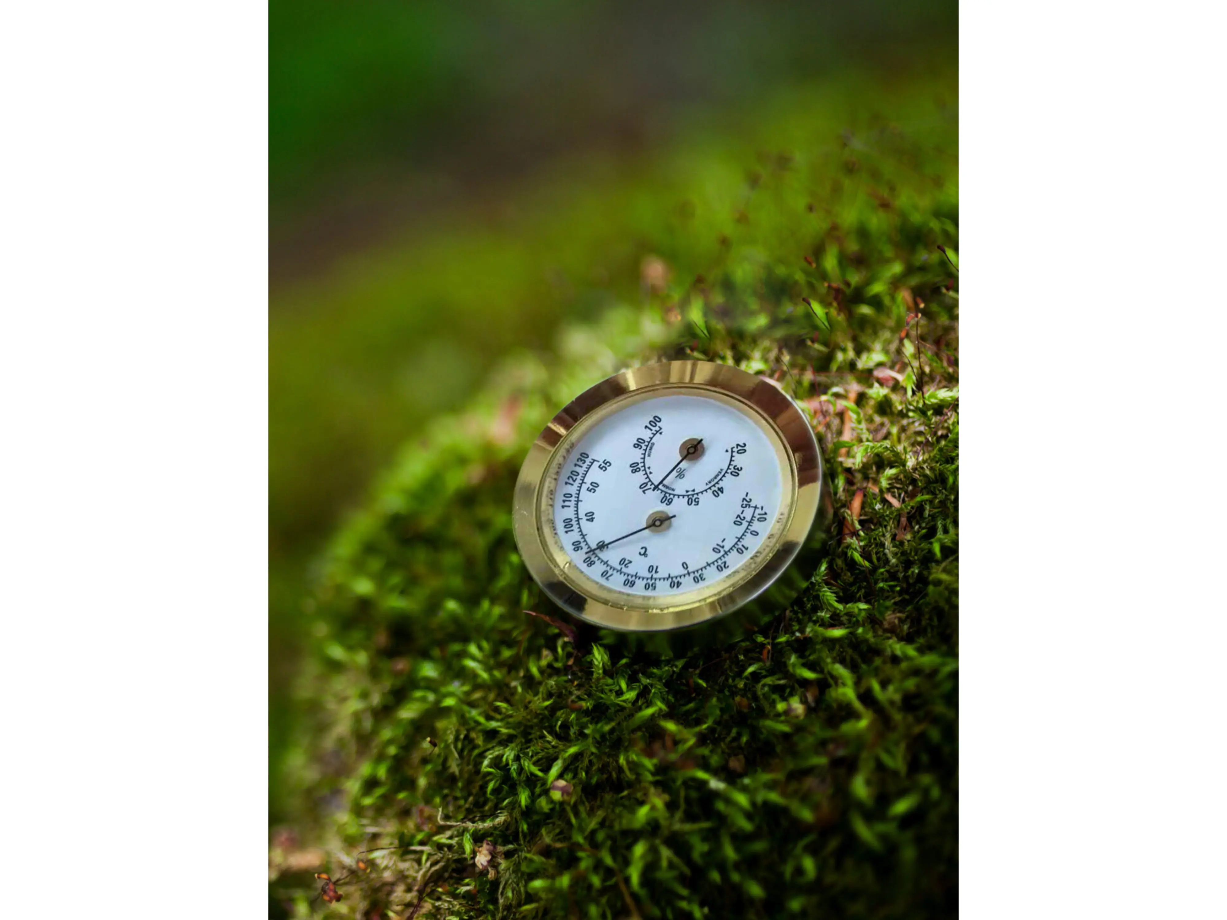 kavel-details Precisie - Hygrometer kavel-details Precisie - Hygrometer